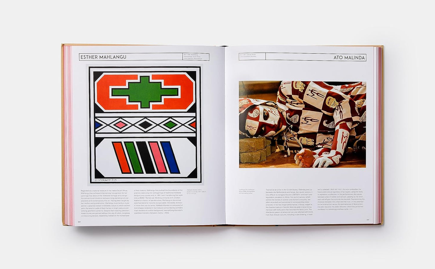 African Artists: From 1882 to Now