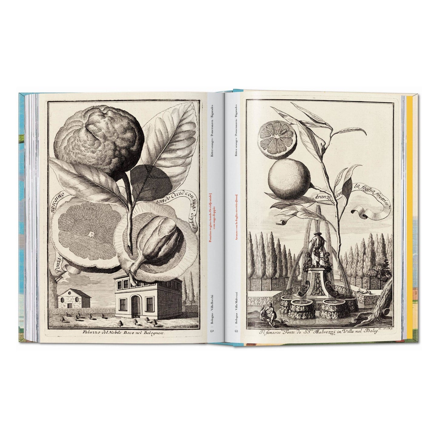 J. C. Volkamer. The Book of Citrus Fruits. 45th Ed.