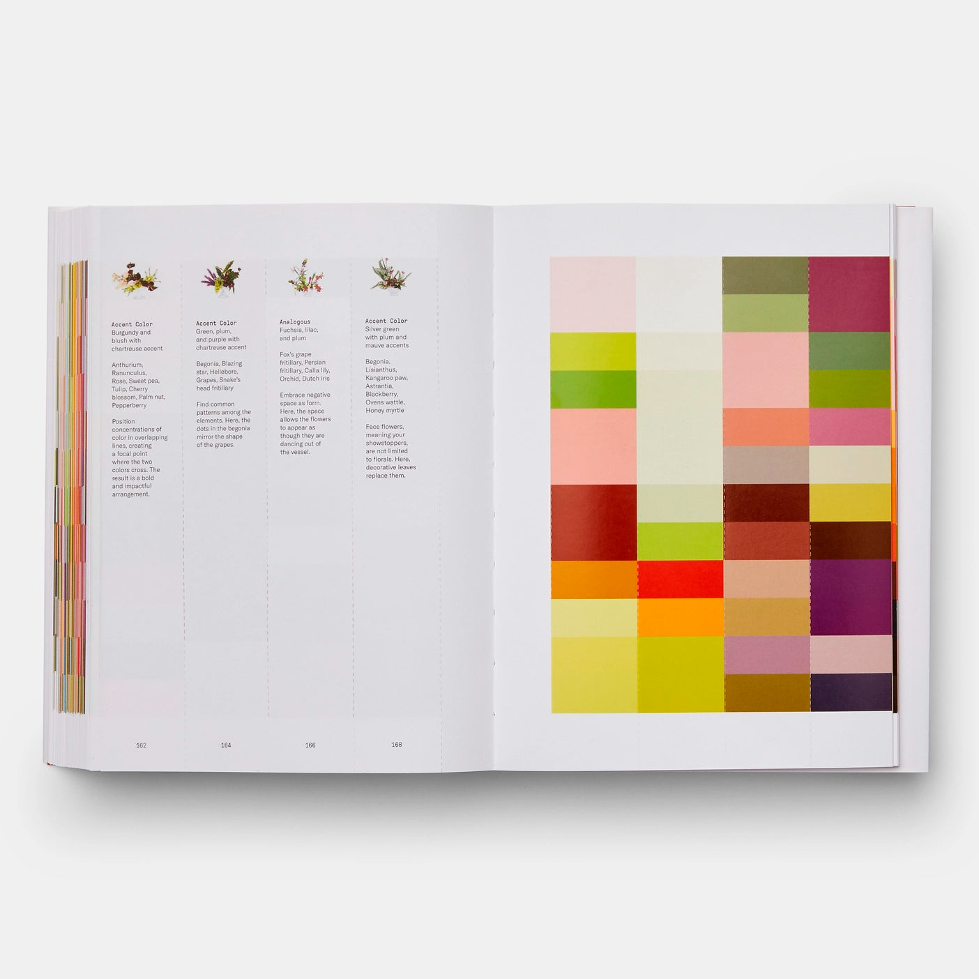 flower color theory