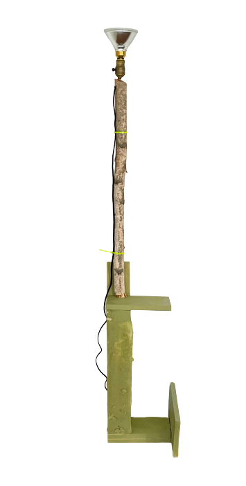 Green Birch Lamp by Chad Phillips