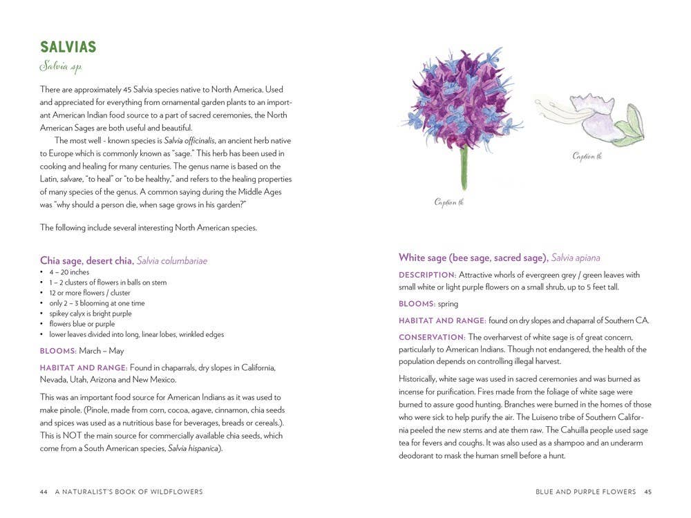 A Naturalist's Book of Wildflowers