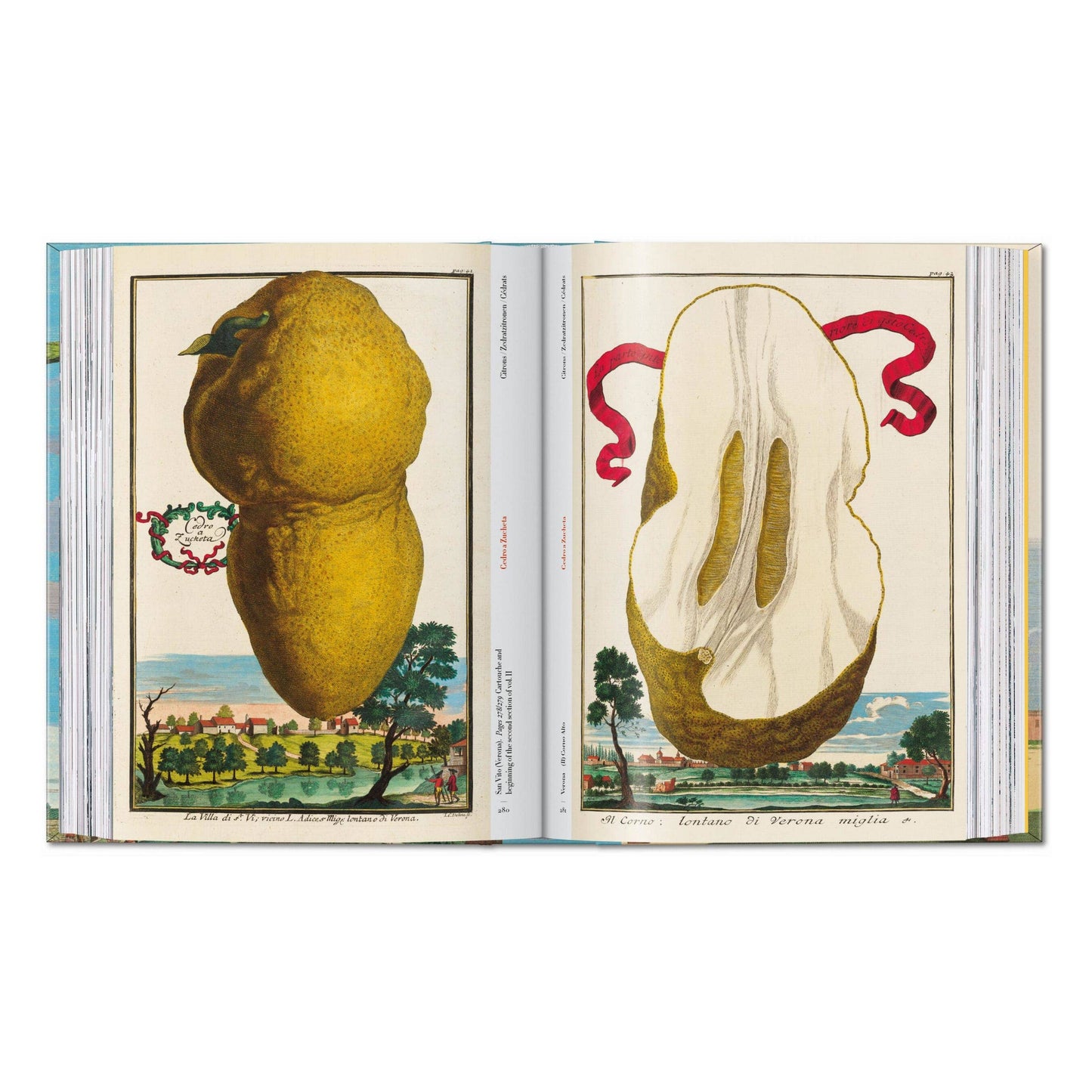 J. C. Volkamer. The Book of Citrus Fruits. 45th Ed.
