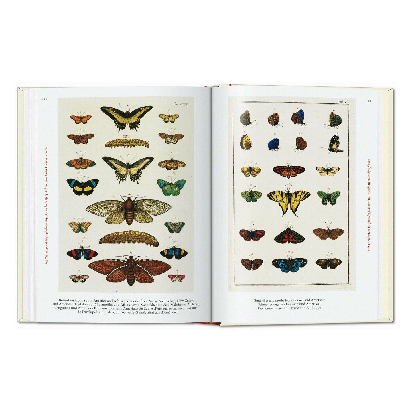 Seba. Cabinet of Natural Curiosities. 45th Ed.