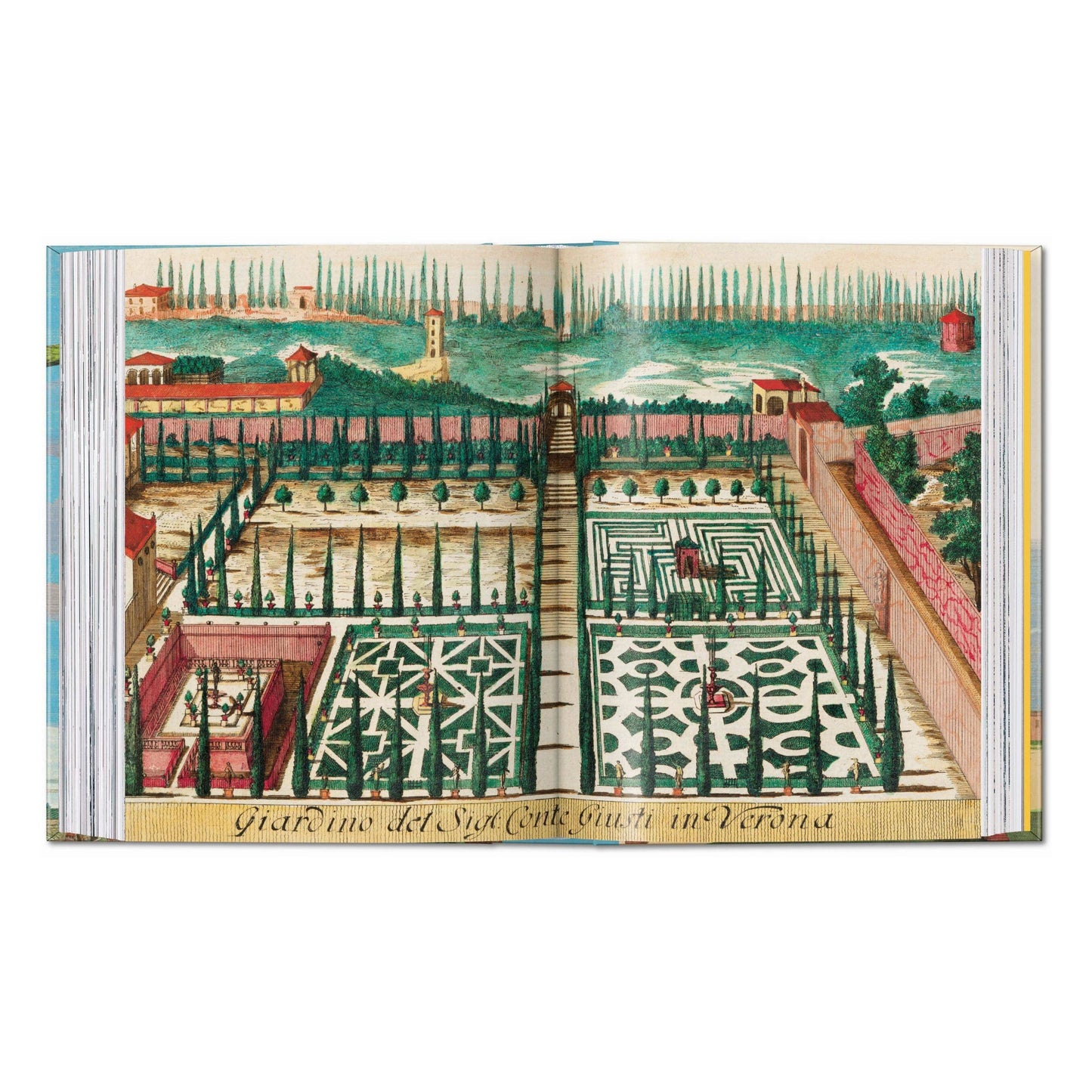 J. C. Volkamer. The Book of Citrus Fruits. 45th Ed.
