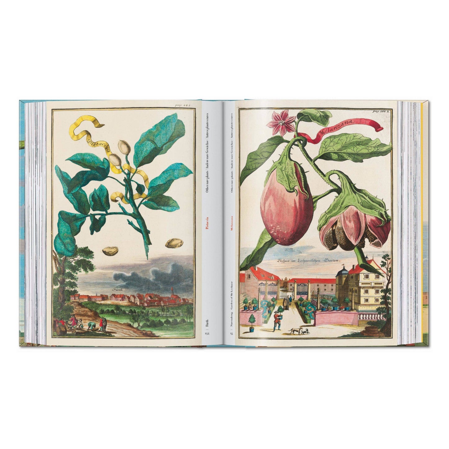 J. C. Volkamer. The Book of Citrus Fruits. 45th Ed.