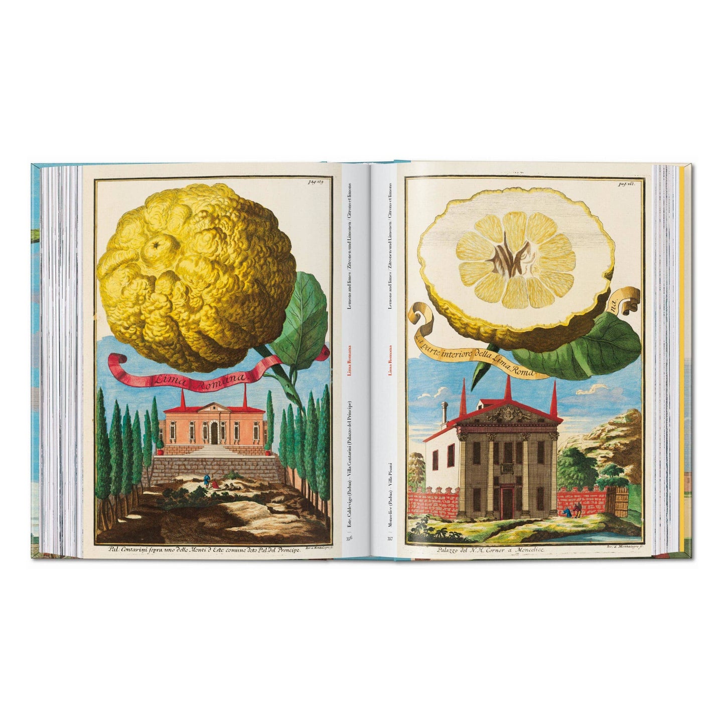 J. C. Volkamer. The Book of Citrus Fruits. 45th Ed.