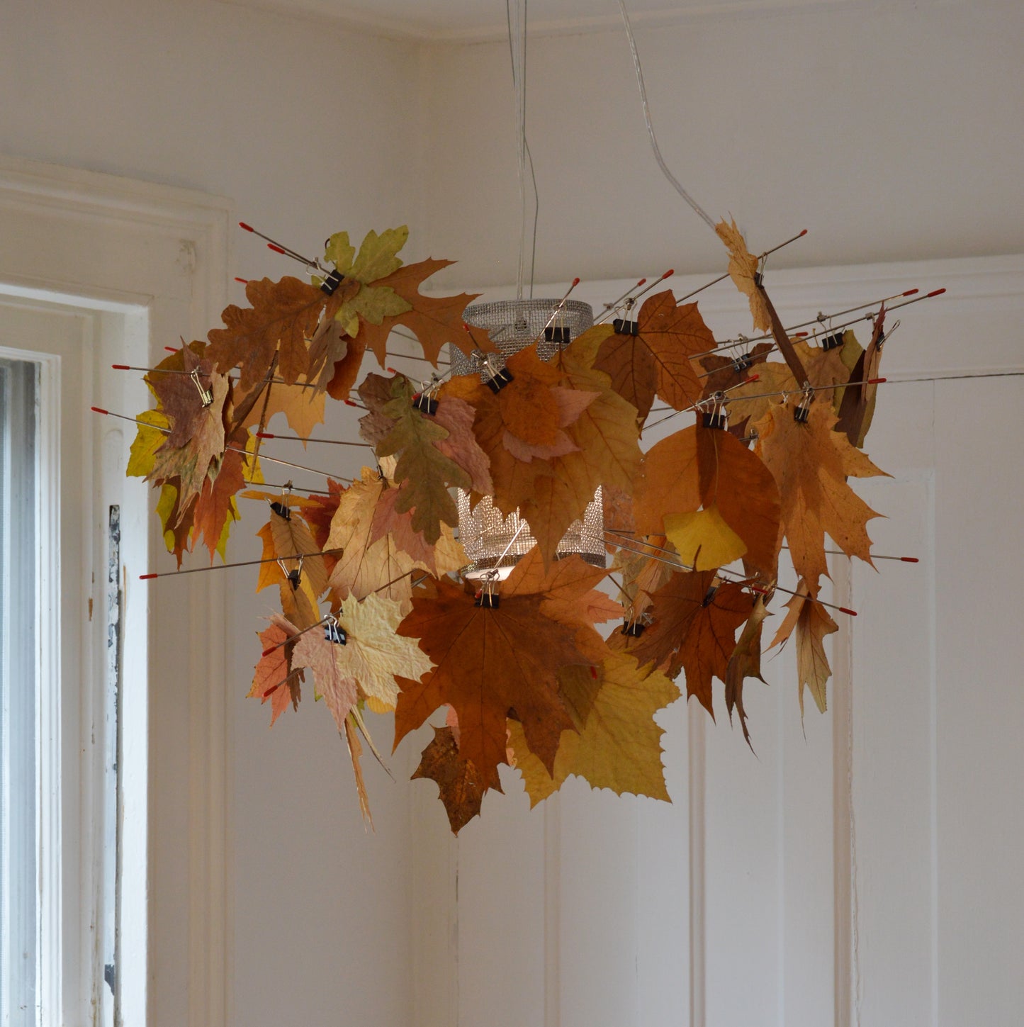 Leaf Peep Pendant by Charles Brill