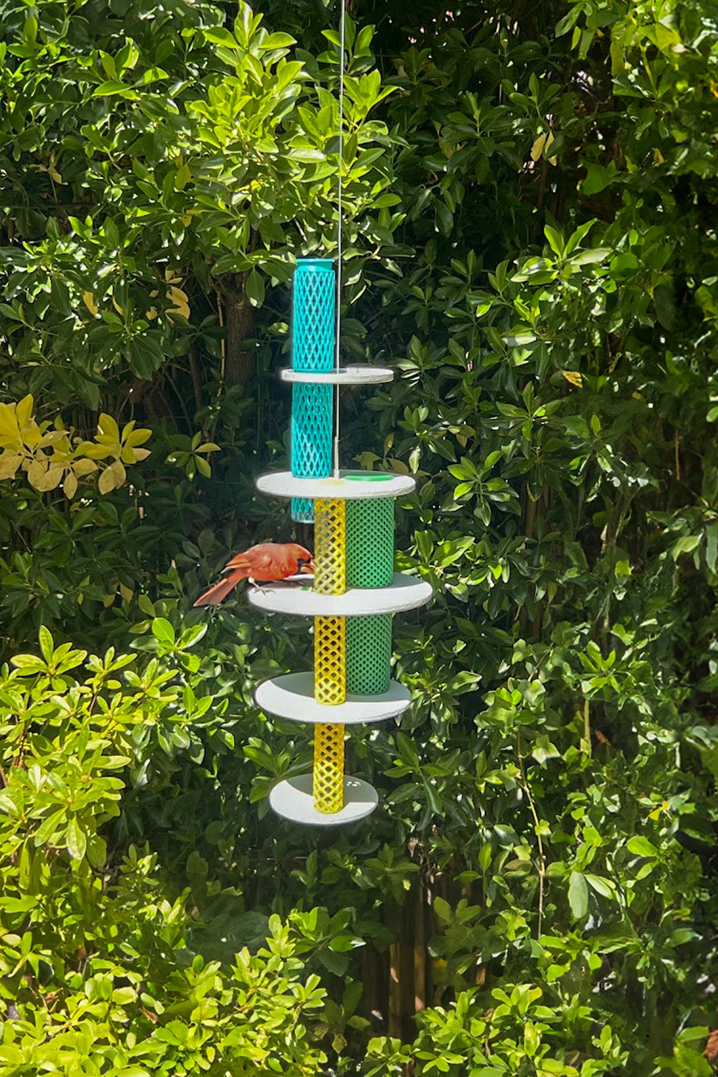 Flatter Freund Bird Feeder by Studio Fou