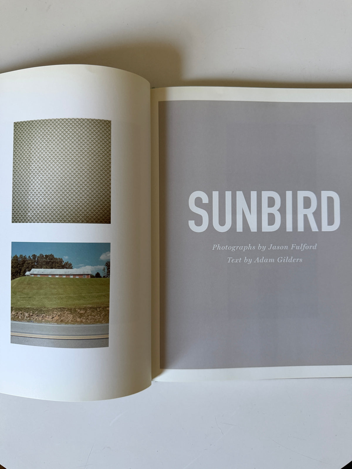 Sunbird, Jason Fulford