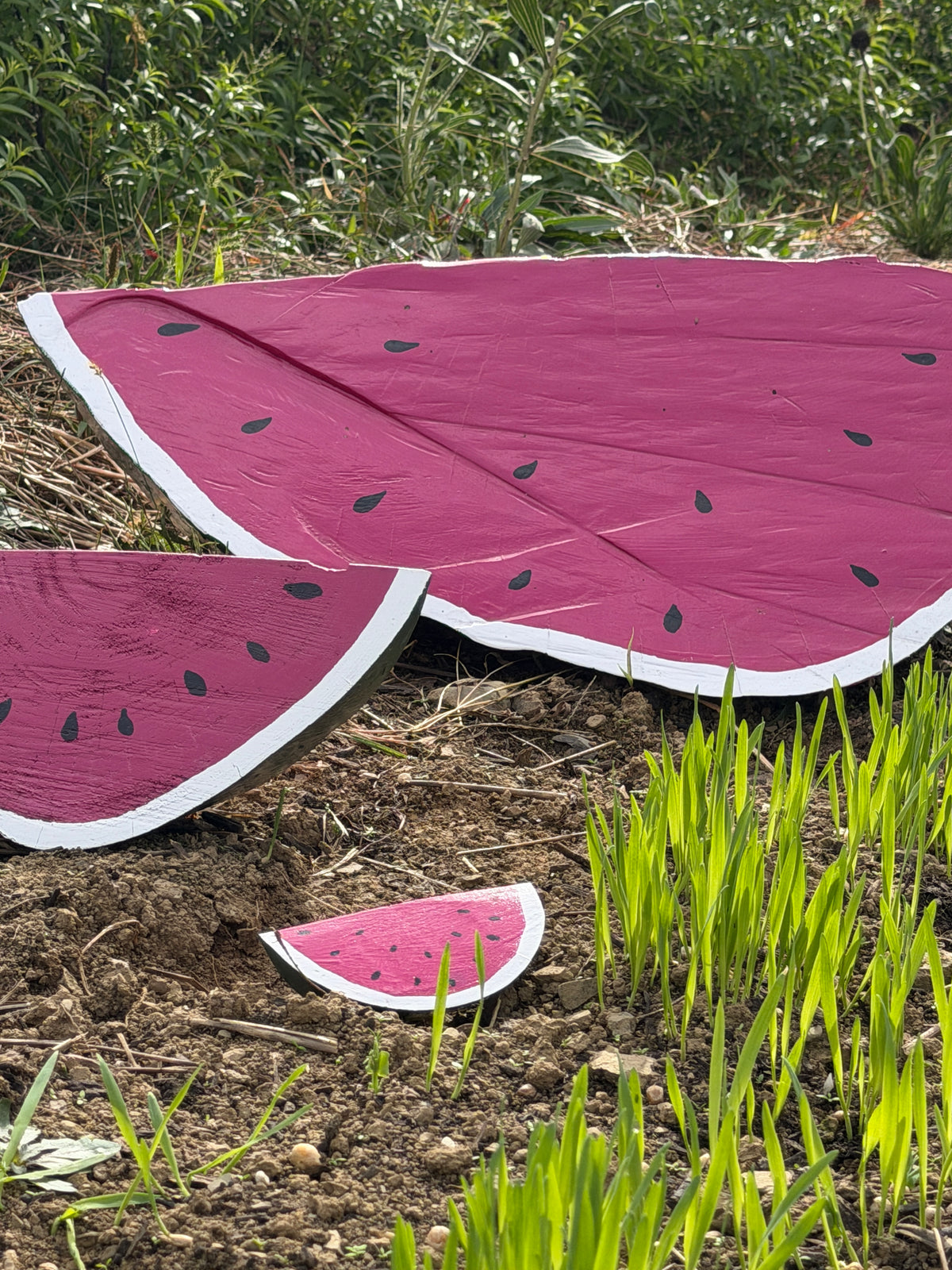 Folk Art Watermelons by Sam Merritt