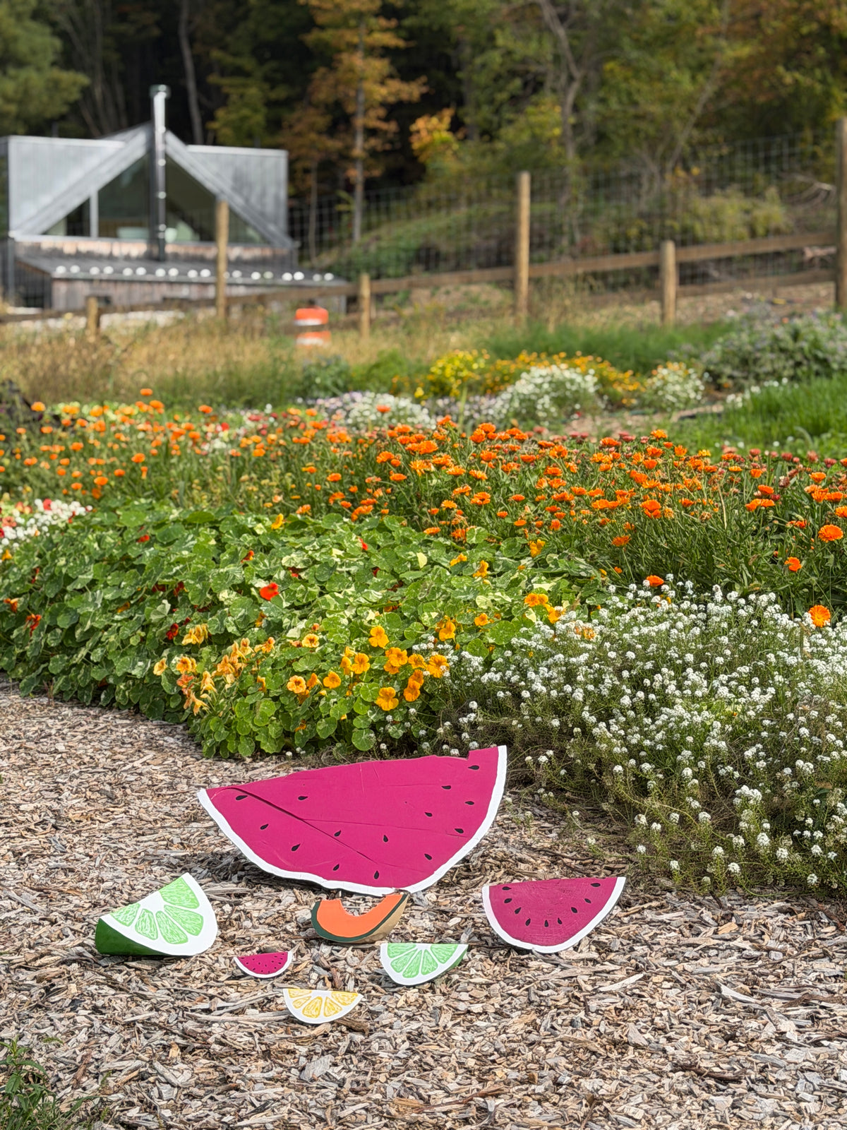 Folk Art Watermelons by Sam Merritt