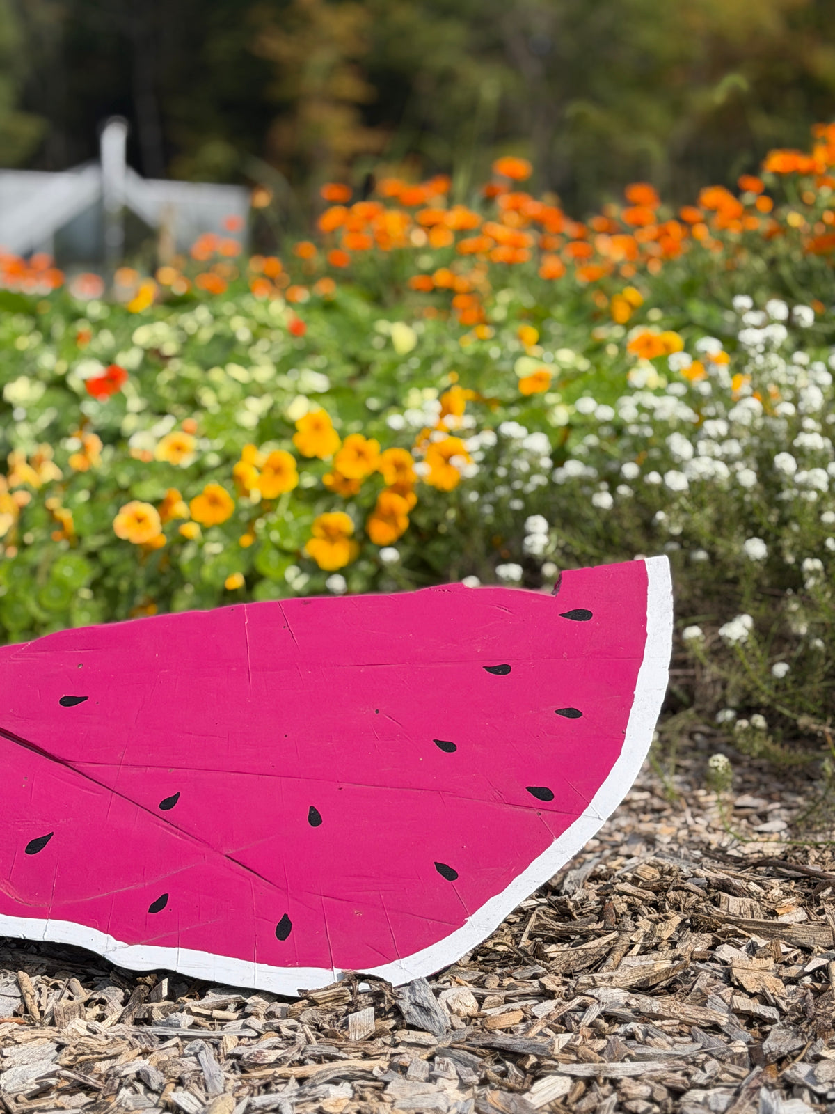 Folk Art Watermelons by Sam Merritt