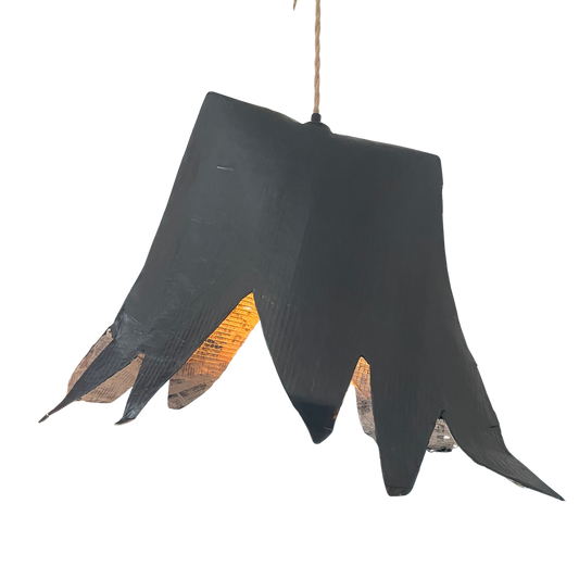 Aronimink Lamp #12 by Audrey Louise Reynolds