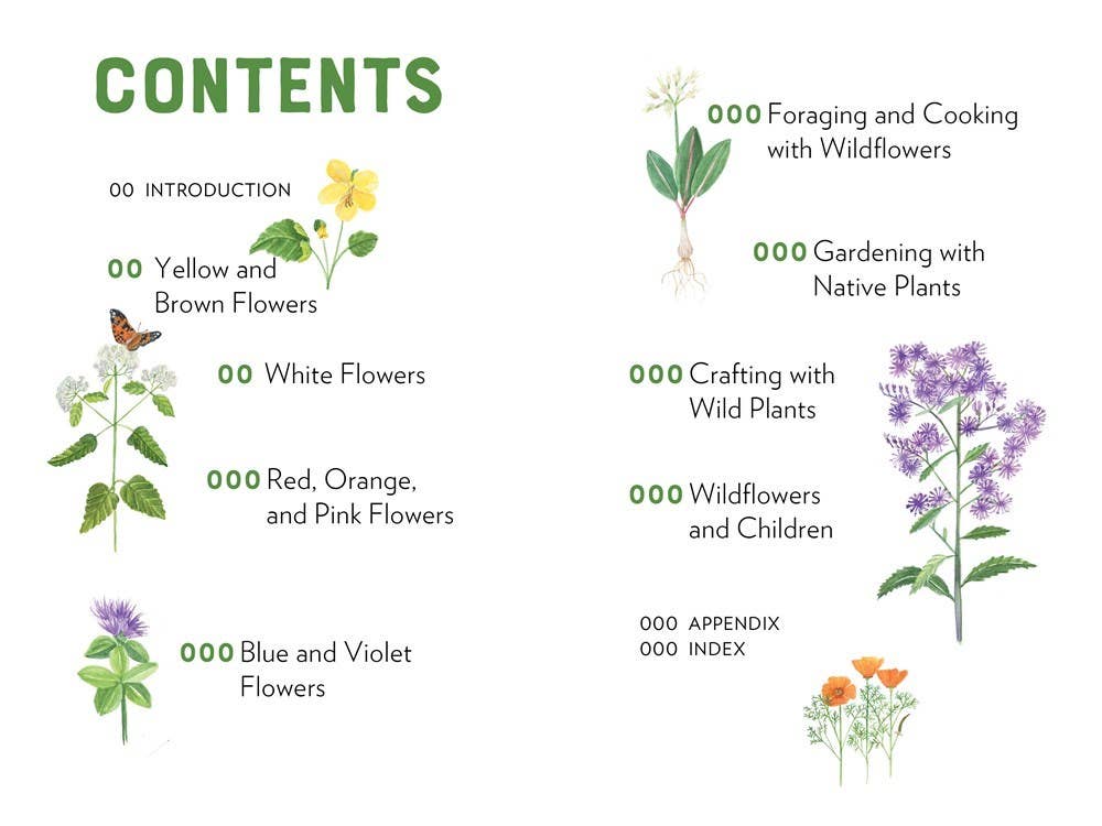 A Naturalist's Book of Wildflowers