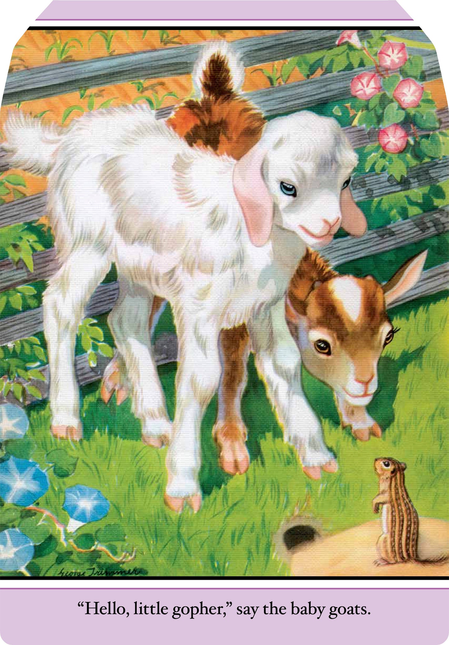 Farm Babies- Children's Picture Book