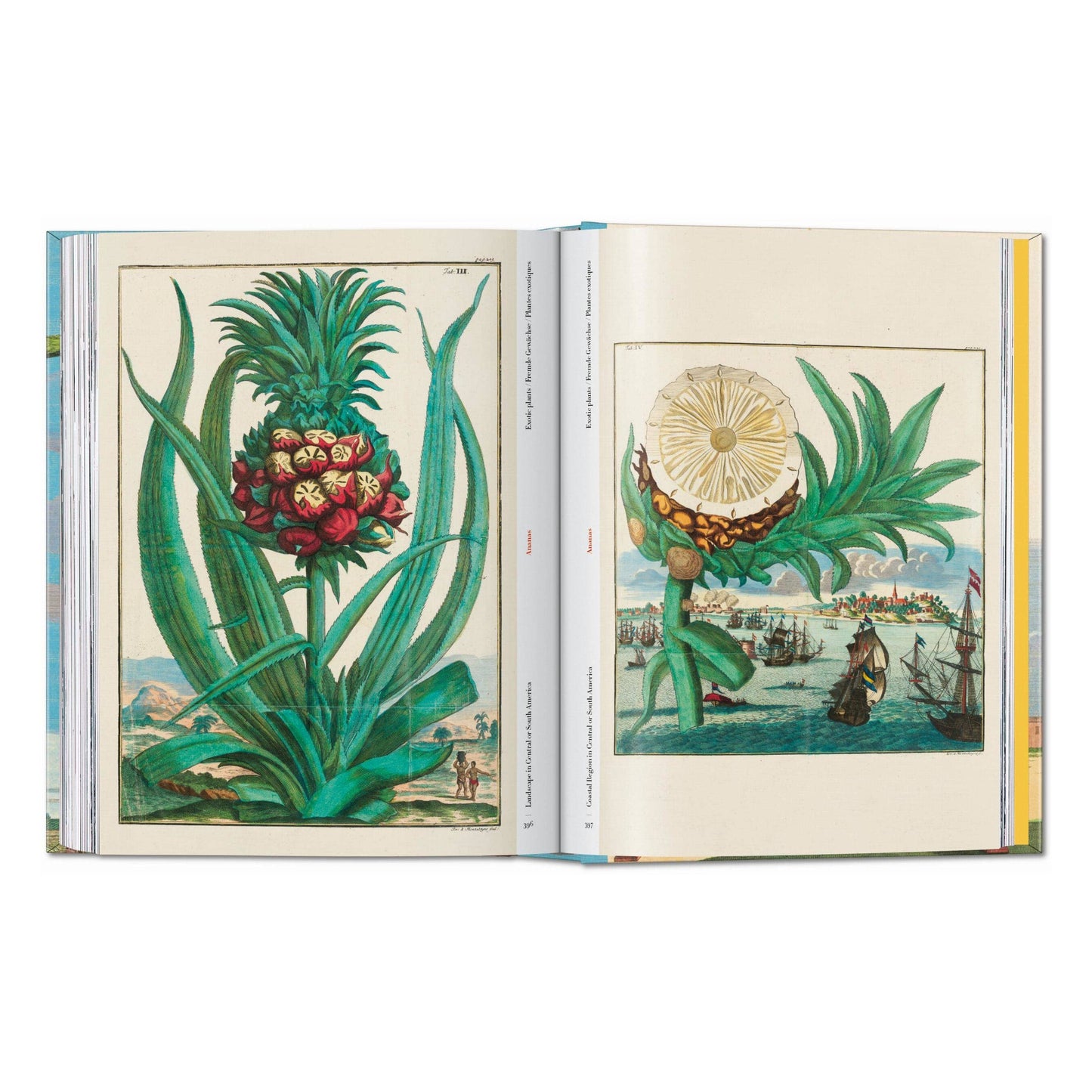 J. C. Volkamer. The Book of Citrus Fruits. 45th Ed.