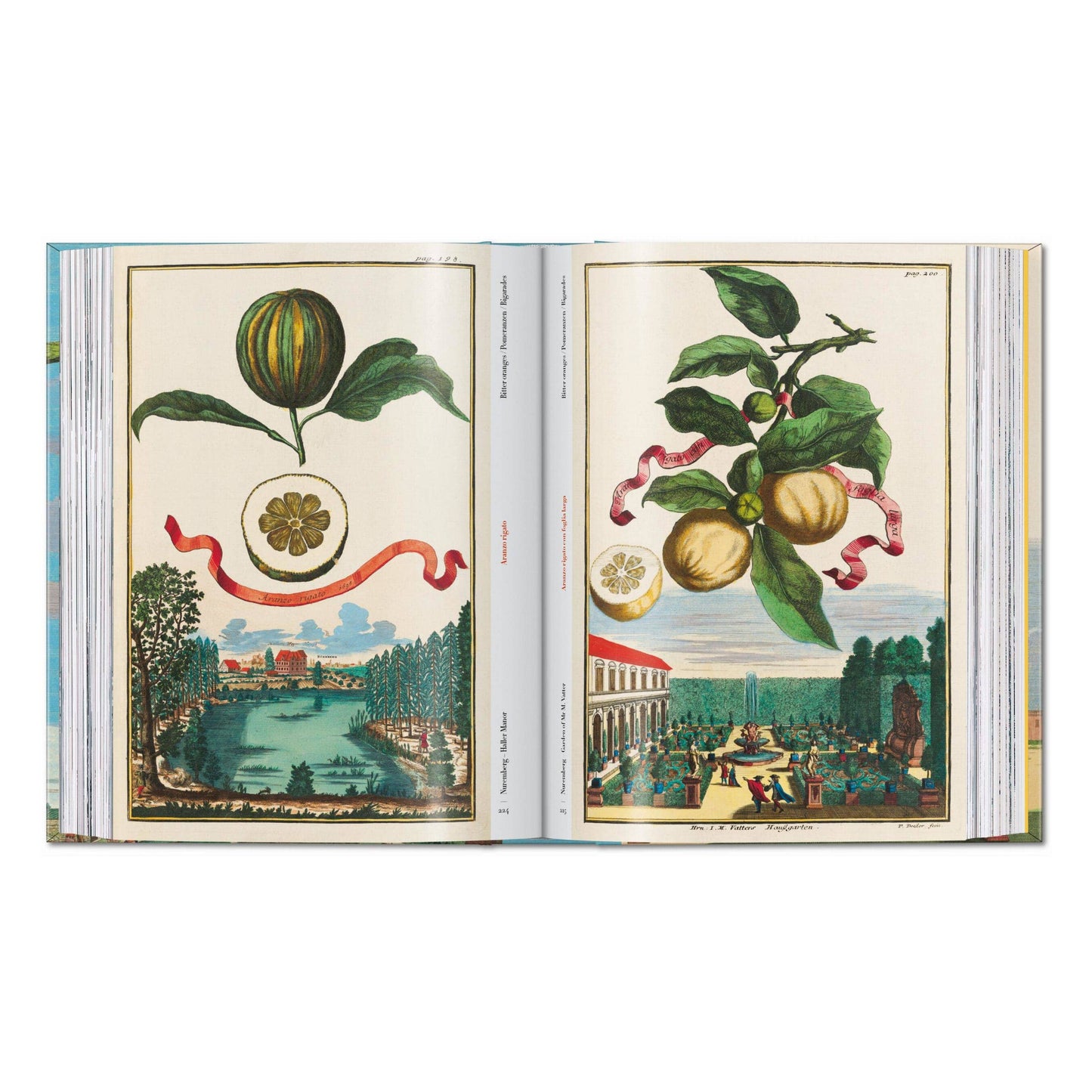 J. C. Volkamer. The Book of Citrus Fruits. 45th Ed.