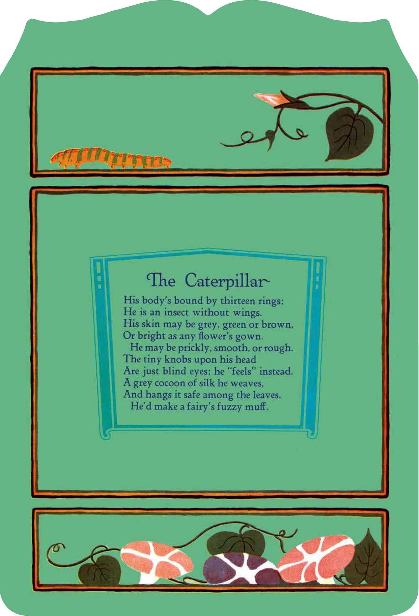 Our Friends The Bugs Picture Book