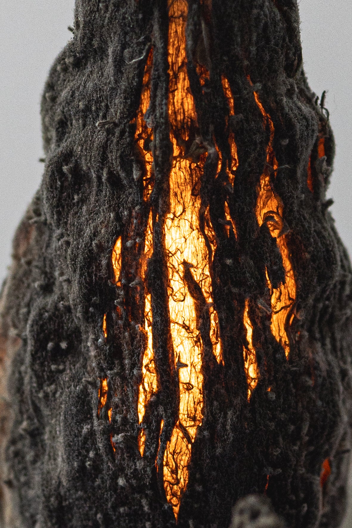 Milkweed Sun Touch Dimmer by Jake Coan