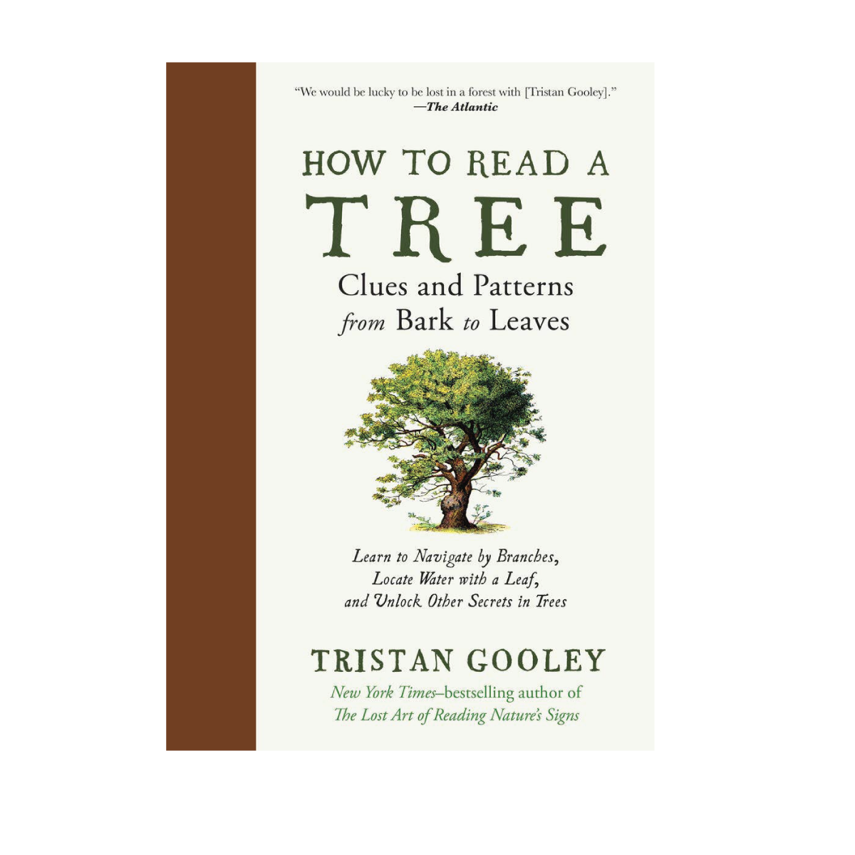 How to Read a Tree: Clues and Patterns from Bark to Leaves